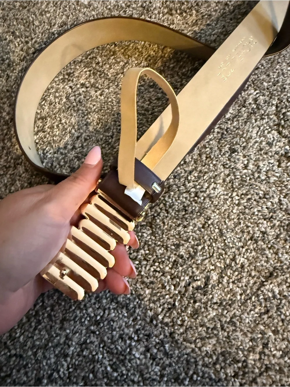 xl Brown Leather Rachel Zoe Belt with Gold Bar Accent